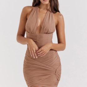 Laetitia Hazelnut Gathered Mini Dress - Image 5