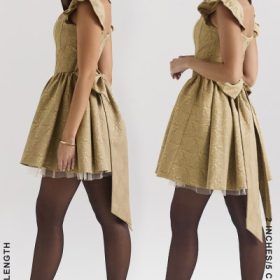 Saasha Gold Jacquard Mini Dress