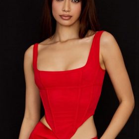 Edetta Scarlet Mesh Corset - Image 5