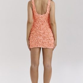 Faena Sorbet Plunge Floral Appliqu?? Mini Dress