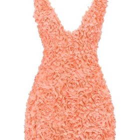 Faena Sorbet Plunge Floral Appliqu?? Mini Dress - Image 2