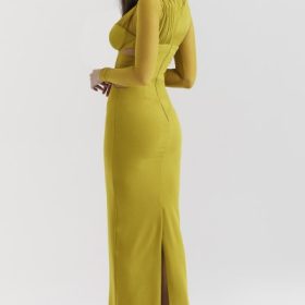 Zahra Chartreuse Plunge Maxi Dress - Image 11
