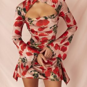 Toira Rose Print Draped Corset Dress